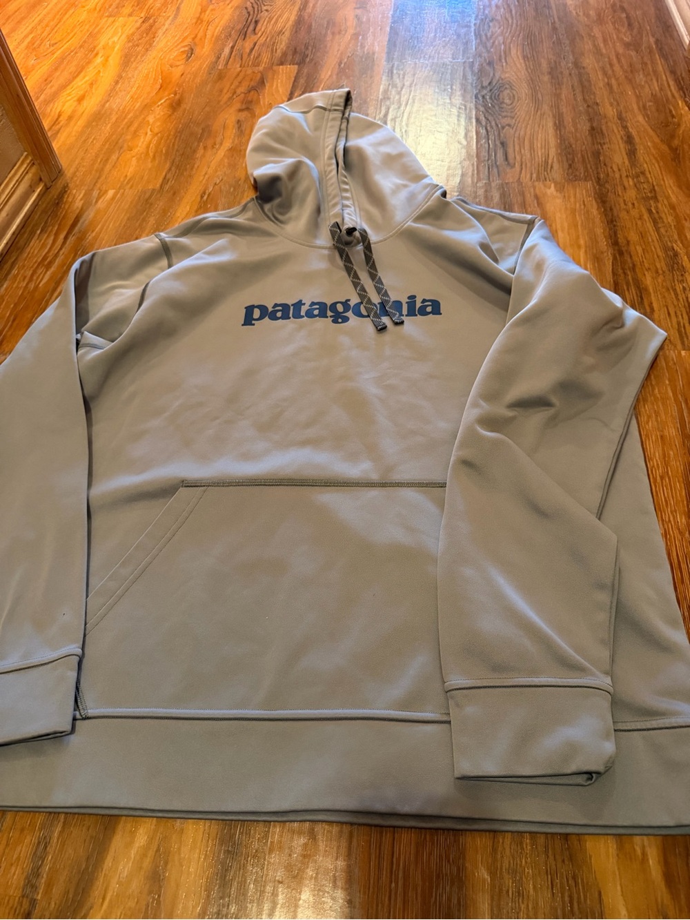 Patagonia Gray Hoodie with Navy Logo